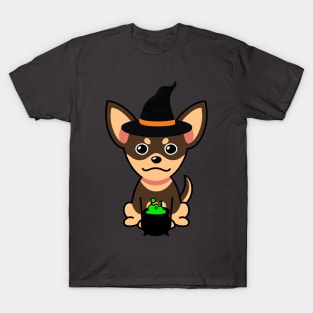 Cute small dog is a witch T-Shirt